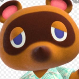 Meet your Posher, Anjali